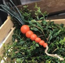 Orange Bead Carrot 