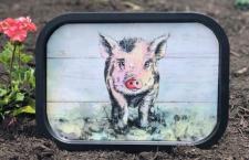 Pig Metal Tray .