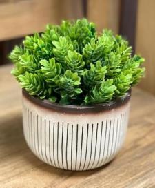 Potted Greenery in Cement Stripe Planter .