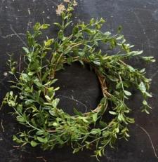 Baby Grass Candle Ring 