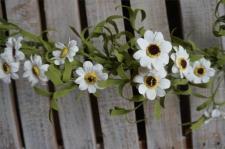 Daisy Garland 