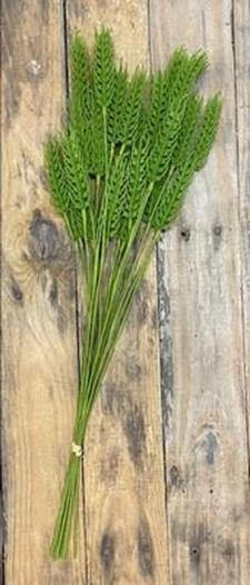 Green Wheat Bunch 