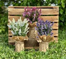 Lavender Pots Large (3 Assorted)