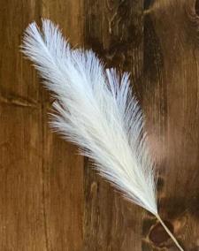 Cream Pampas Grass Pick 