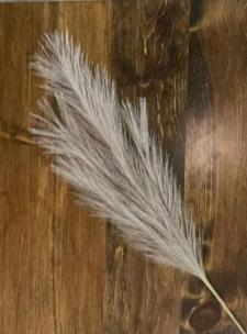 Brown Pampas Grass Pick 