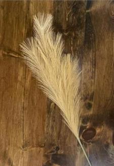 Rust Pampas Grass Pick 