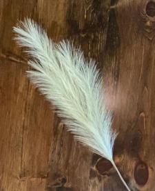 Sage Pampas Grass Pick 