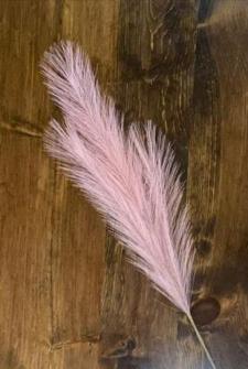 Pink Pampas Grass Pick 